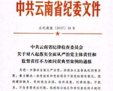 中共云南省纪律检查委员会关于对八起落实全面从严治党主体责任和监督责任不力被问责典型案例的通报
