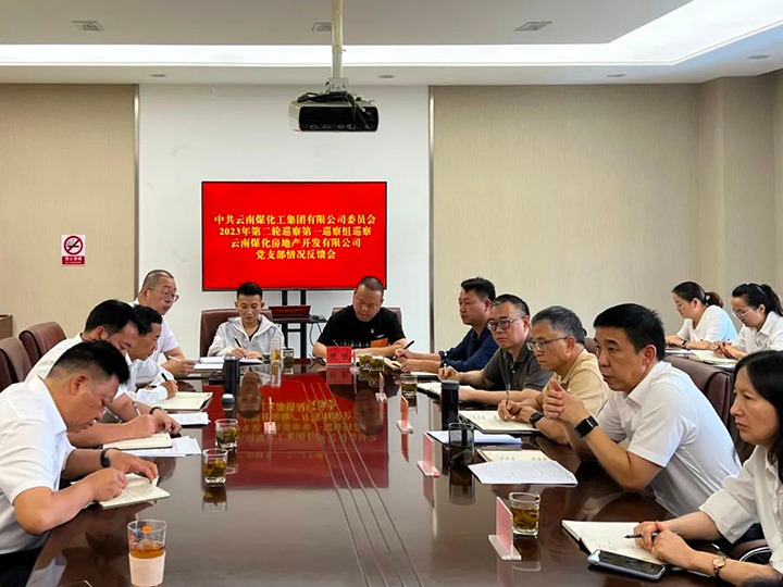 【聚焦云煤】云煤（煤化）集团党委2023年第二轮巡察第一巡察组向谈球吧房地产开发有限公司反馈巡察情况